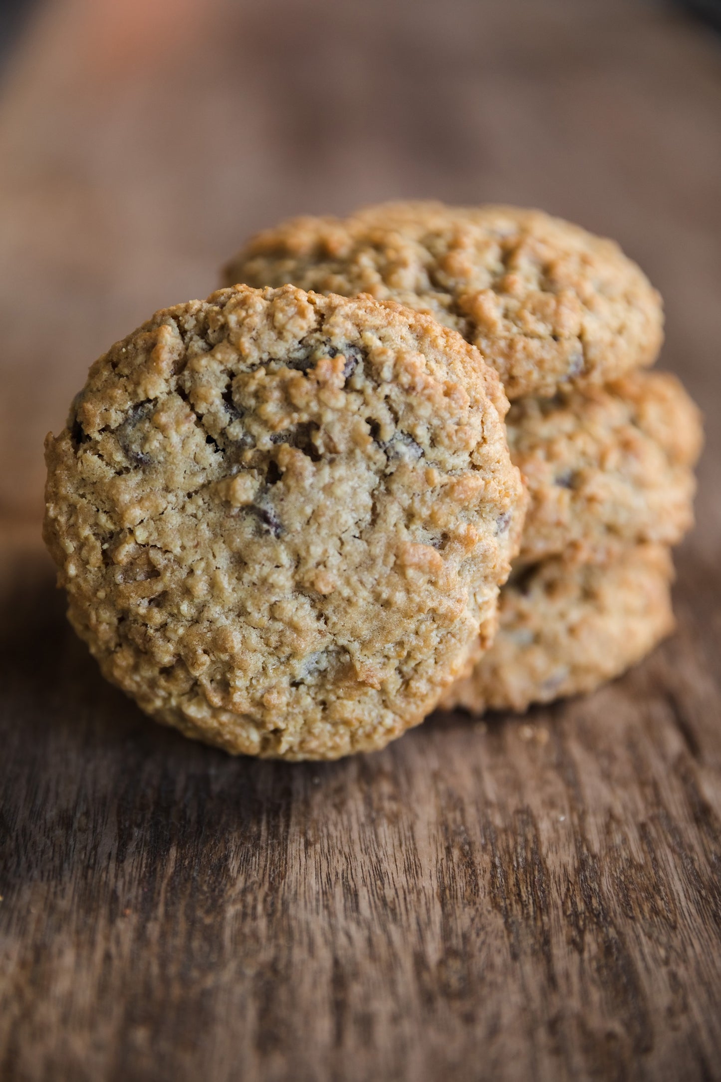 Oatmeal Walnut Cookie with Cranberries